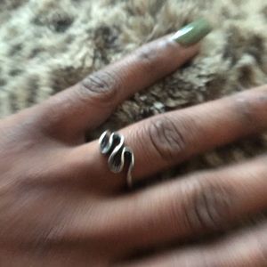 Stainless steel snake ring